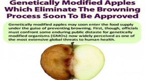 Genetically Modified Apples Which Eliminate The Browning Process Soon To Be Approved