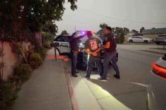 Two officers interact with a person near a police vehicle on a residential street at dusk.
